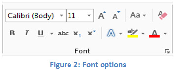 Figure 2: Font options