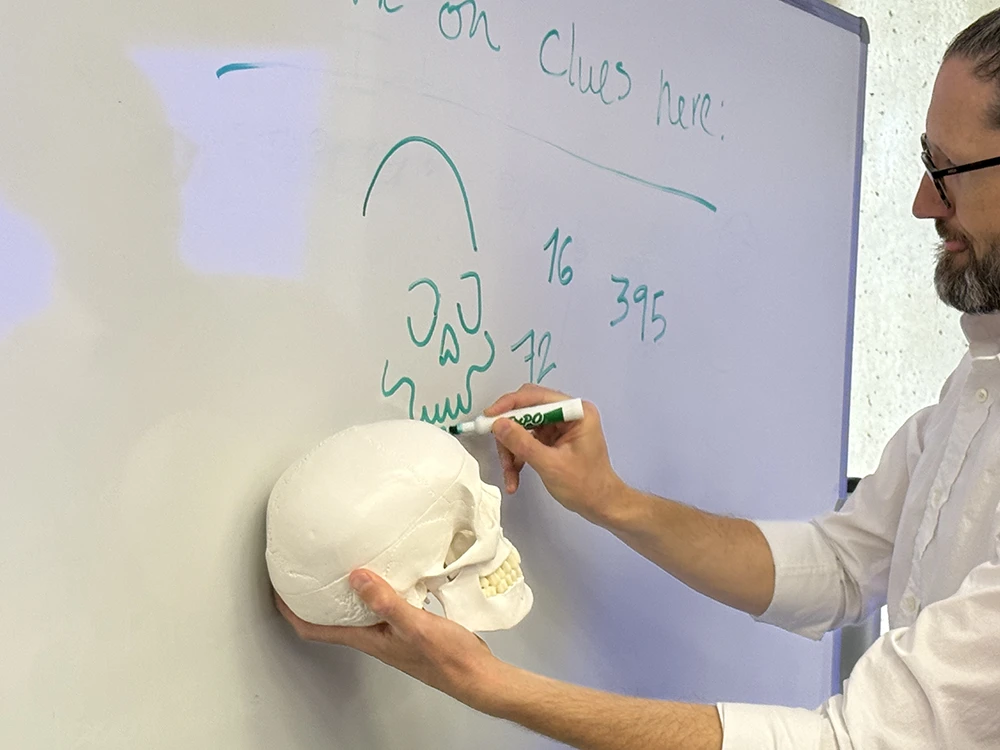 This photo shows a person holding a model skull while drawing a simple skull sketch on a whiteboard. Numbers and the phrase "Clues here:" are also written on the board..