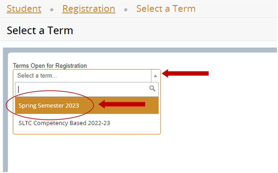 Register for Classes SLCC