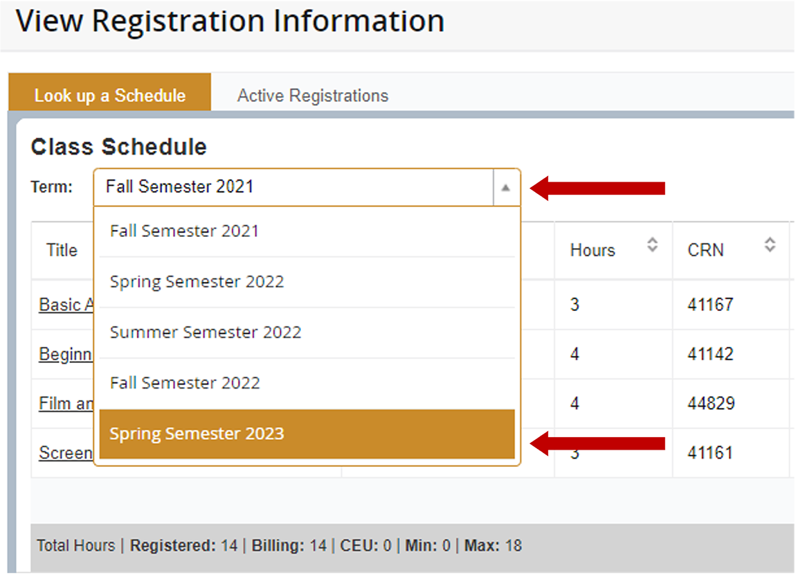 View Your Schedule SLCC