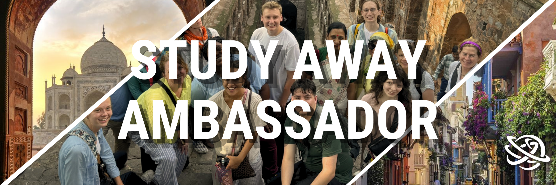 study-away-ambassador-banner